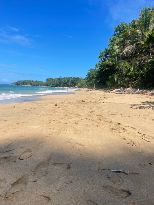 Our Journey to Costa Rica: Embracing Change